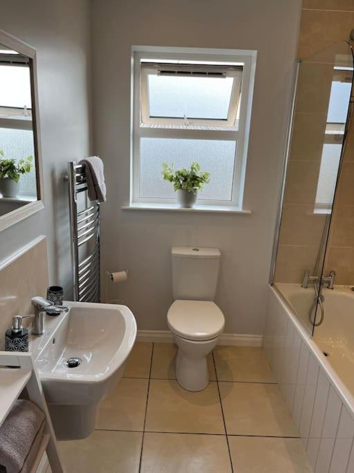 Corran Mews Apartment Larne Luaran gambar